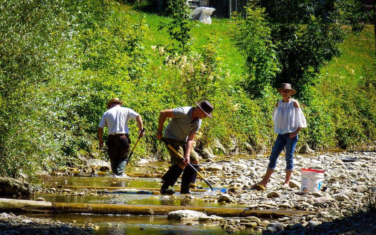 Bachwaschen am Hornbach 2018