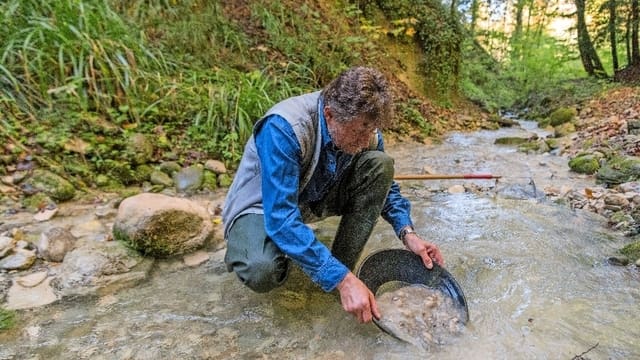 Auf der Suche nach Gold in Zürich